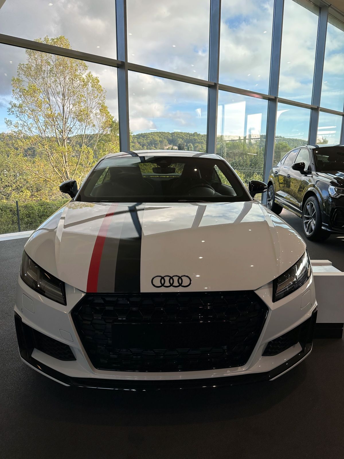 Audi TT bandes racing vinyle personnalisation sportive